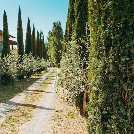 Farm stay Il Borgo Cortona