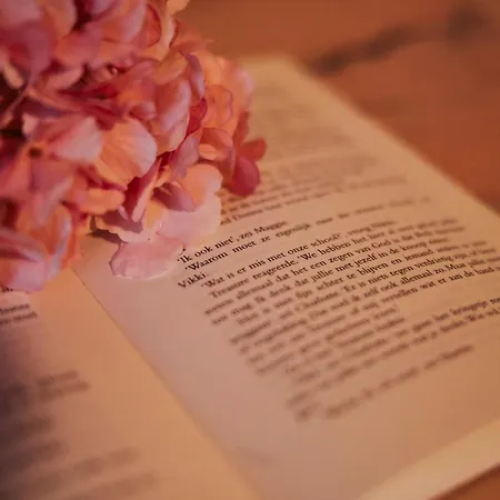 Фермерский дом Il Borgo Кортона